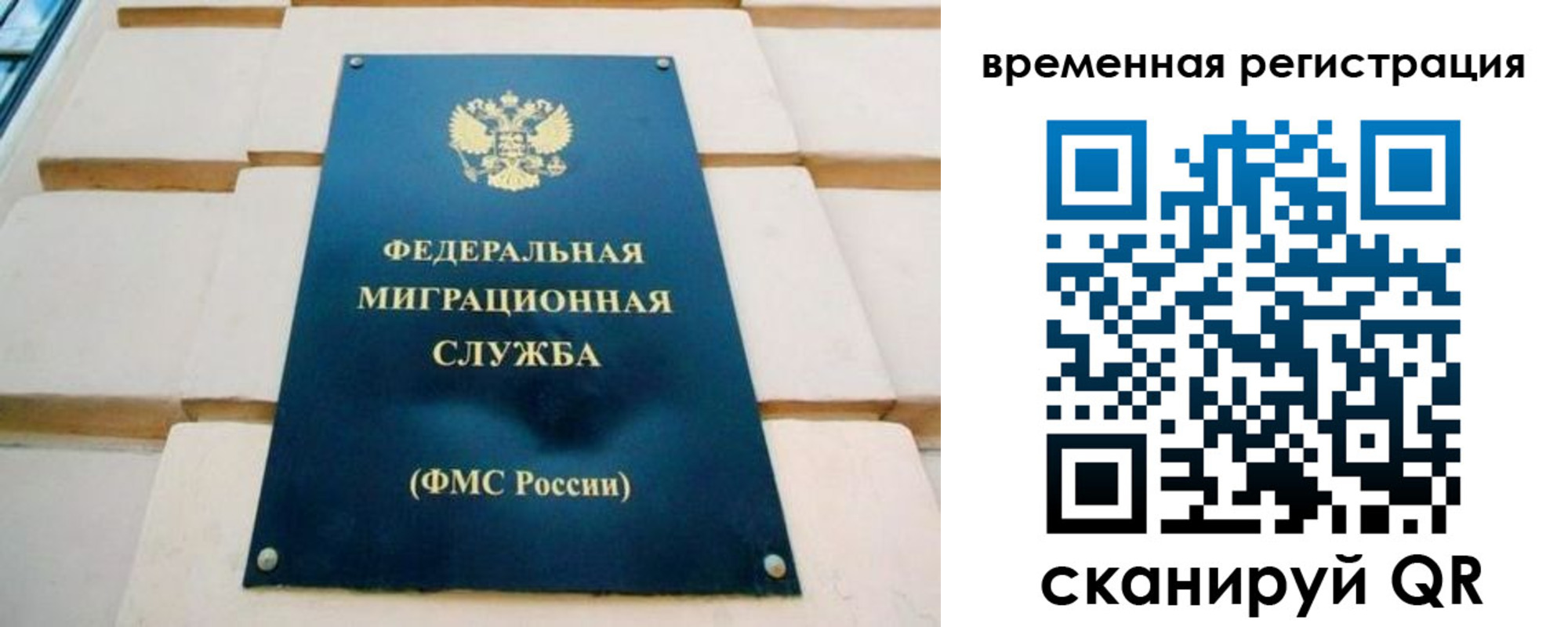 прописка гарантия в Петушках